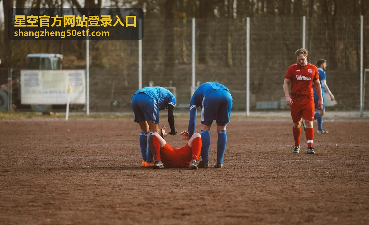 星空官方网站登录入口的账号安全中心