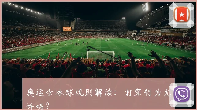 奥运会冰球规则解读：打架行为允许吗？