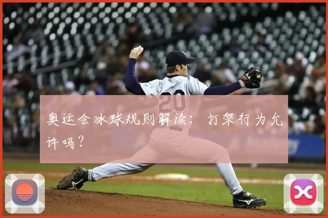 奥运会冰球规则解读：打架行为允许吗？